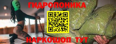 PSILOCYBIN Кингисепп