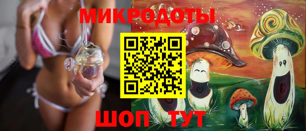 Галлюциногенные грибы Psilocybe Кизилюрт